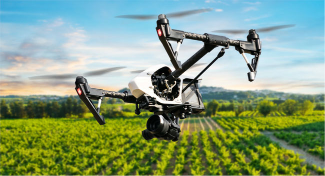 Drones que ayudan al hombre en sus cultivos de viñedos